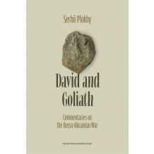 26 David and Goliath