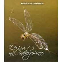 Ескізи на павутинні