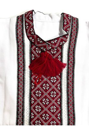 25 Embroidered shirt Вишиванка чоловіча #54 L