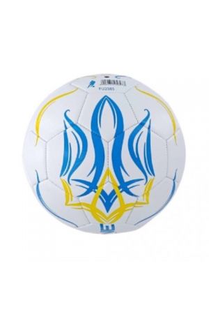 25 Soccer Ball Ukraine Large White