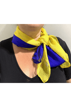 23 Blue & Yellow Two Scarfs