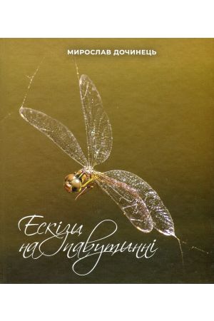 Ескізи на павутинні
