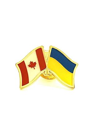 Friendship Flag Pin