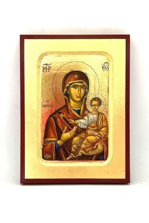 Icon Holy Virgin Mary and Child Ікона Божої Матері 20x14  #6