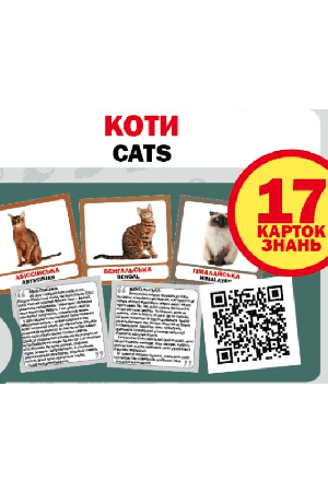 koty-piznavalni-kartky