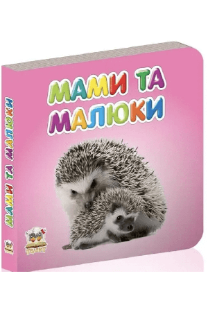 mamy-ta-maliuky-mini-book