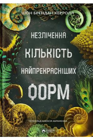 26 Незліченна кількість найпрекрасніших форм