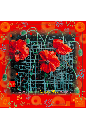 vitayemo-card-for-maky